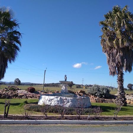 Allonville Gardens Motel Wagga Wagga Luaran gambar