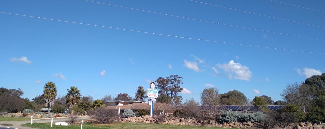 Allonville Gardens Motel Wagga Wagga Luaran gambar