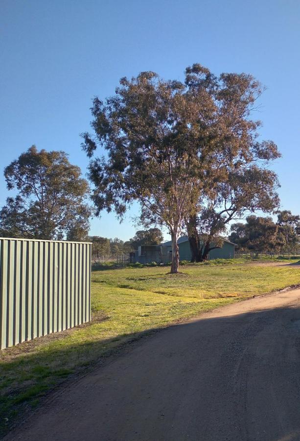Allonville Gardens Motel Wagga Wagga Luaran gambar