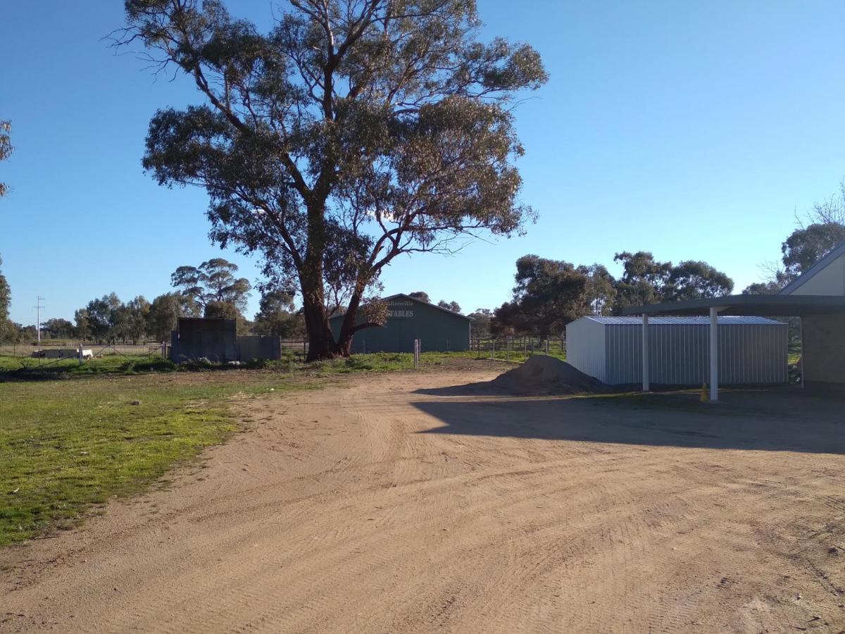 Allonville Gardens Motel Wagga Wagga Luaran gambar