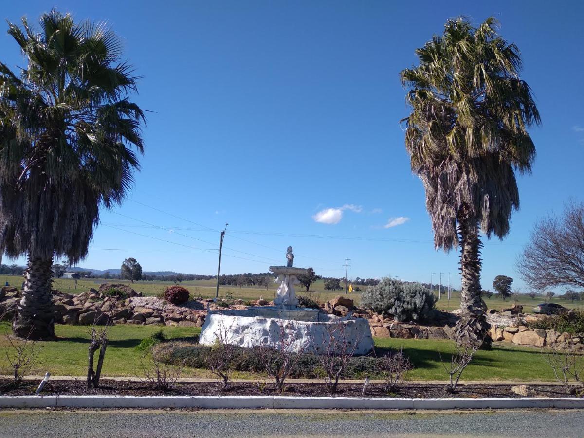Allonville Gardens Motel Wagga Wagga Luaran gambar