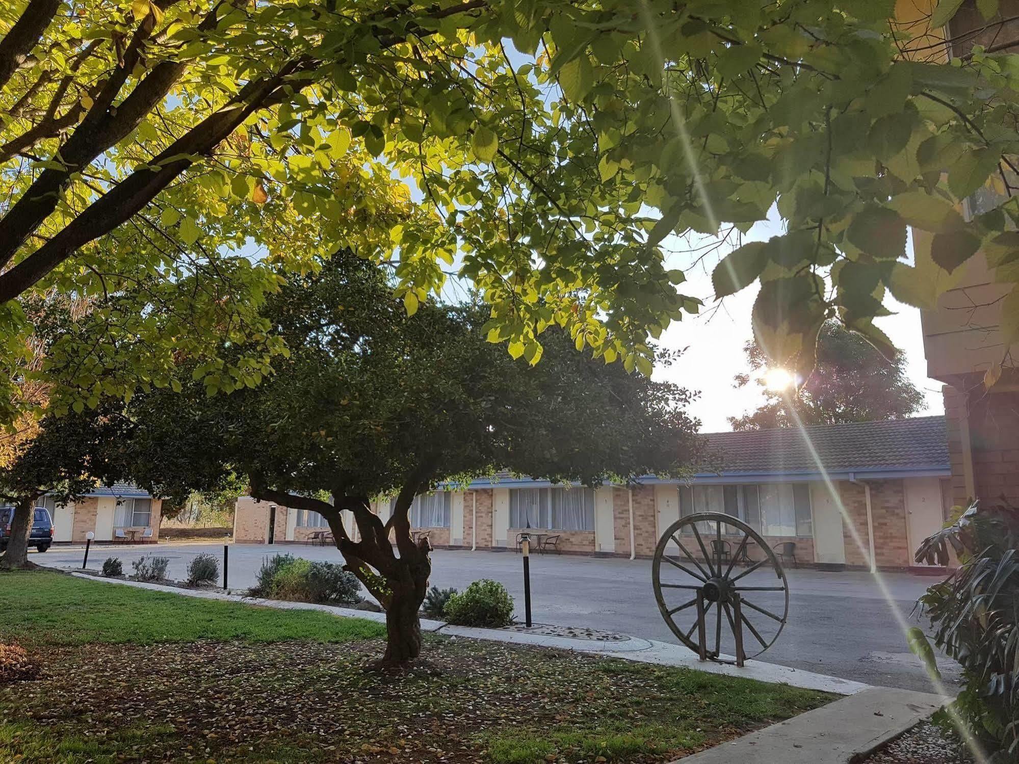 Allonville Gardens Motel Wagga Wagga Luaran gambar