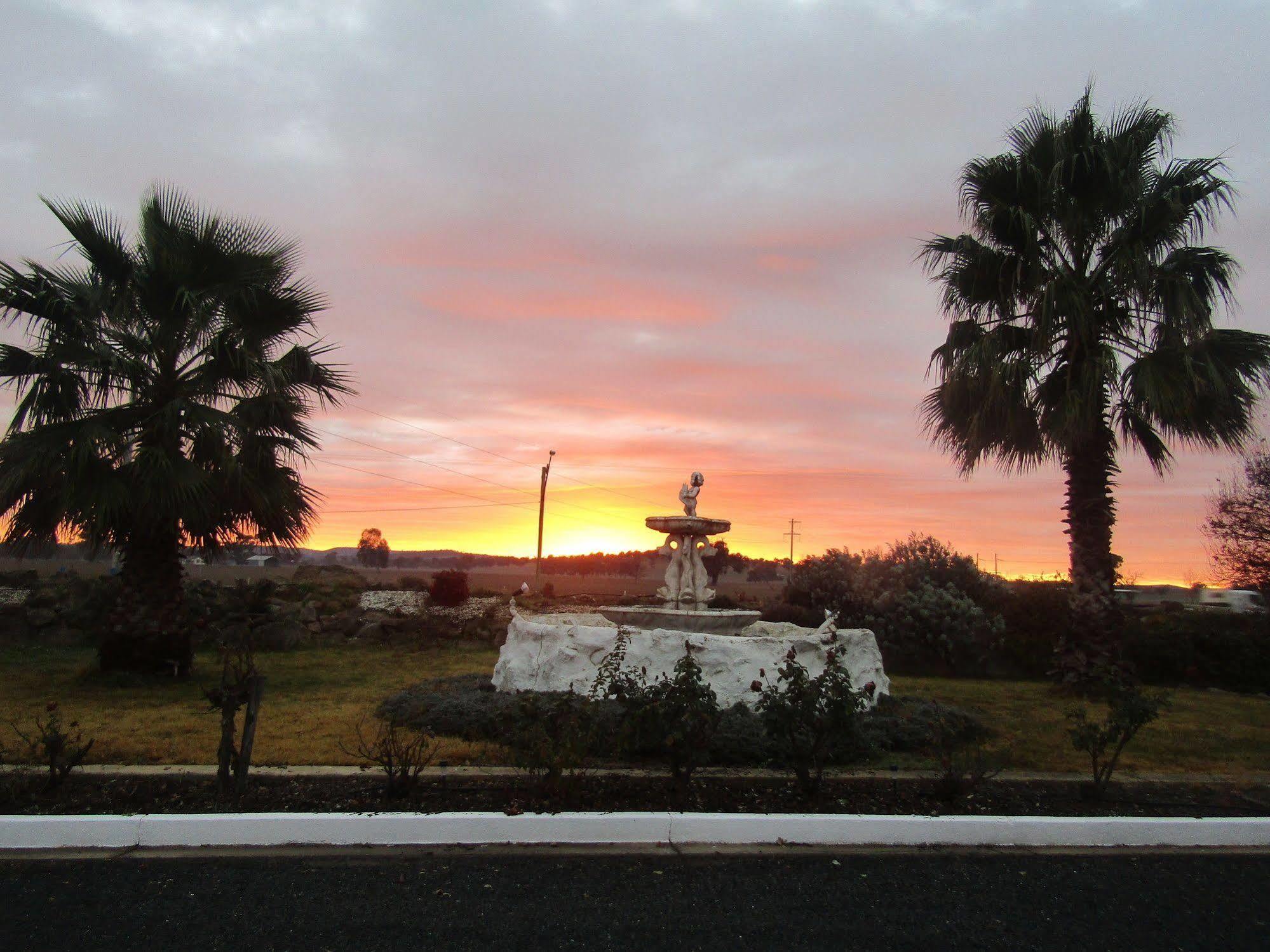 Allonville Gardens Motel Wagga Wagga Luaran gambar